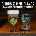 thumbnail image 6 of Terrapin Beer Company, Hopsecutioner, IPAs, Craft Beer, 12 Pack, 12 fl oz Aluminum, 7% ABV,, 6 of 11