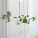 thumbnail image 4 of 3pcs Clear Glass Bulb Hanging Plant Flower Vase Hydroponic Container Bottle, 4 of 5