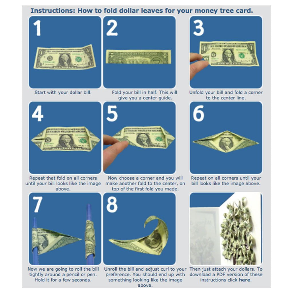 Victory Store Giant 2' x 3' Money Tree Birthday Card  With Envelope