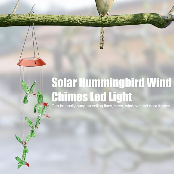 Carillón de viento solar Ecomeon luz LED tipo pájaro decoración de jardín colorido