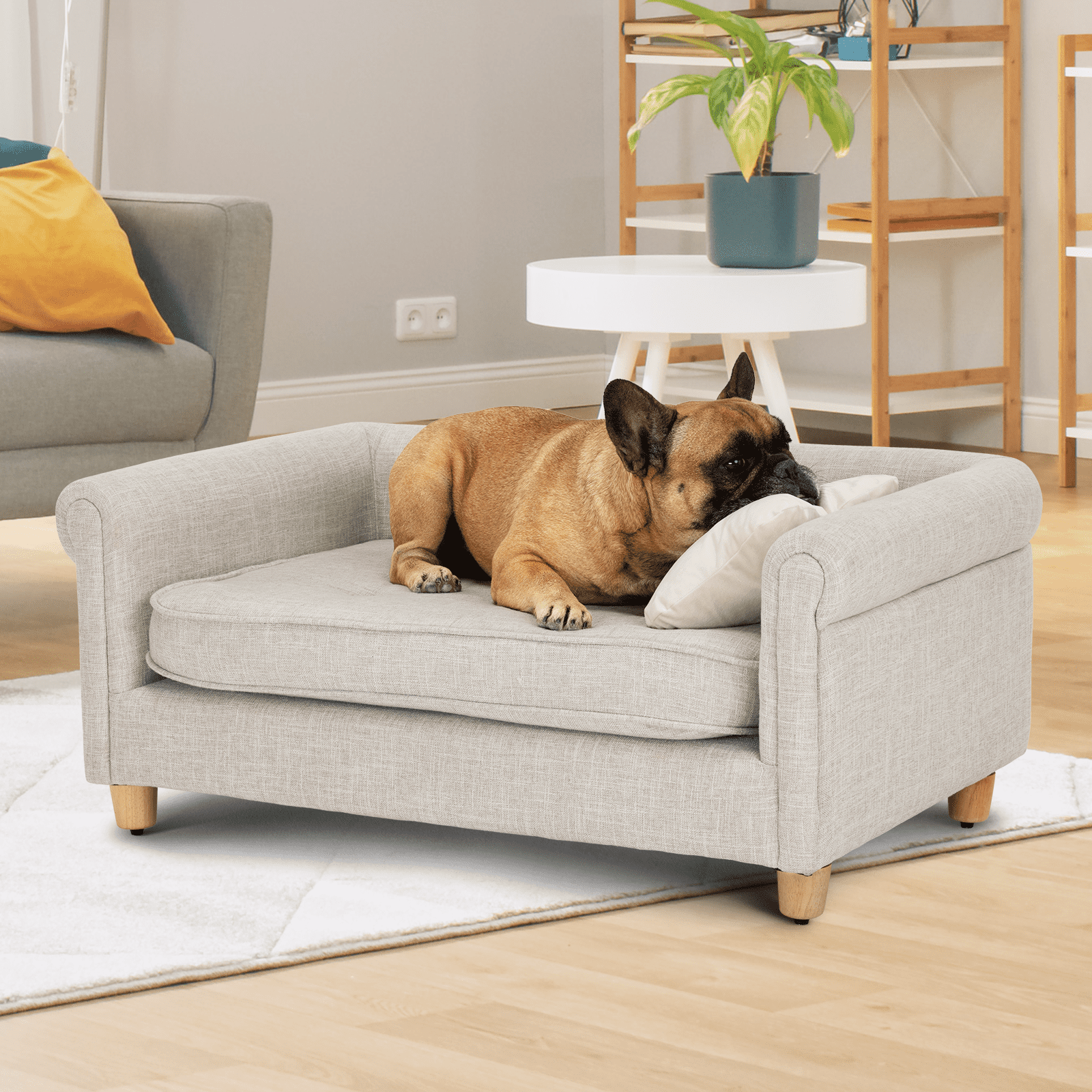Aldi's Famous Pet Sofa Beds Will Be Available After 21