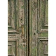 thumbnail image 2 of Johnson, George 19x24 White Modern Wood Framed Museum Art Print Titled - Venice Green Door, 2 of 4
