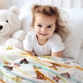 thumbnail image 3 of Disney Baby Winnie The Pooh Plush Blanket, 3 of 6