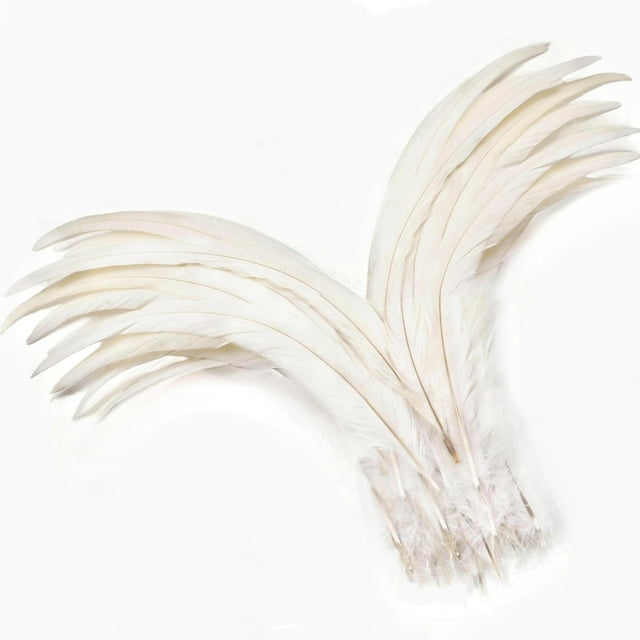 Plumas de cola de gallo Holmgren, blanquecinas, 30-35 cm, 60 unidades