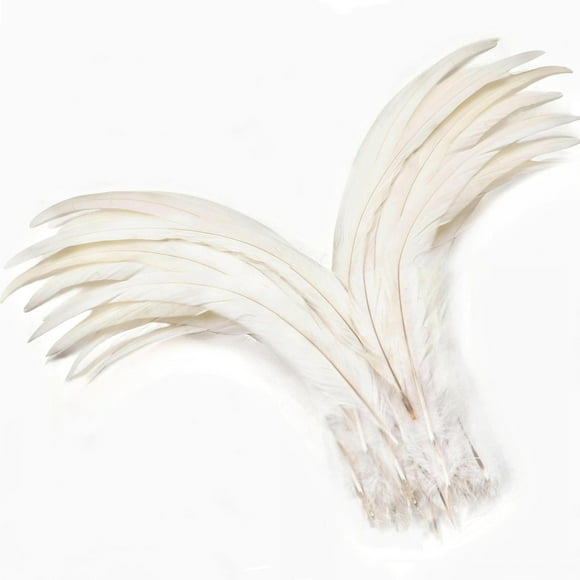Plumas de cola de gallo Holmgren, blanquecinas, 30-35 cm, 60 unidades