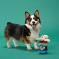 thumbnail image 4 of Bark 9084440 Plush Live Bait Bites Dog Toy, Multi Color - Pack of 3, 4 of 4