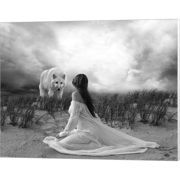 White Wolf by Ata Alishahi, Canvas Wall Art, 20W x 16H