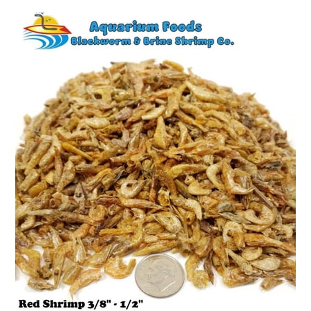 Freeze Dried Red Shrimp 3/8"-1/2" - Tropical Fish, Marine Fish, Koi Fish, Turtles...4oz