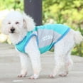 thumbnail image 3 of MesaSe Summer Pet Cooling Vest For Dogs Lightweight Jacket Reflective Quick-cooling Pet Coat For Small Medium And Large Dog Clothing Pink, 3 of 5
