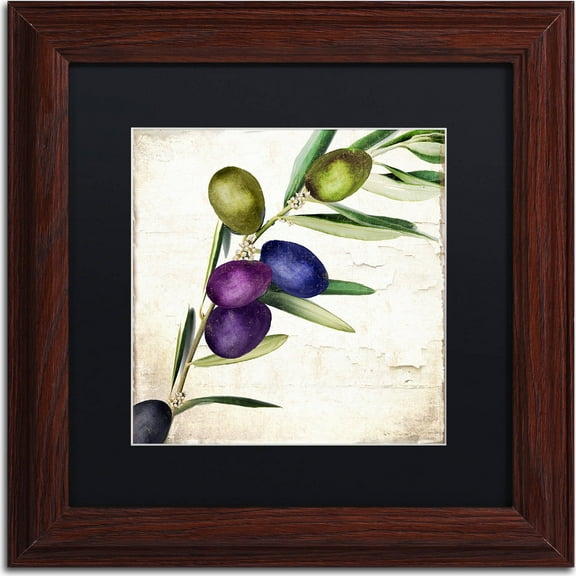 Trademark Fine Art "Olive Branch III" Canvas Art by Color Bakery, Black Matte, Wood Frame