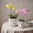 thumbnail image 6 of EFISPSS 2 Pack 5+6 inch white orchid pots with holes and removable trays, assist new plants or repotting, 6 of 8