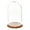 Oak Veneer Base, variant on Plymor 11.75" x 20" Glass Display Dome Cloche (Walnut Veneer Base)
