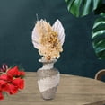 thumbnail image 4 of Ramo de hierba de la pampa seca real para fiesta en jarrón, flor de caña Phragmites, flor seca Plata, 4 of 8