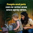 thumbnail image 5 of Sunday Weed Warrior Weed & Grass Killer, Non-Selective Herbicide, OMRI Listed, Ready-to-Use Spray, 32 fl oz, 5 of 7