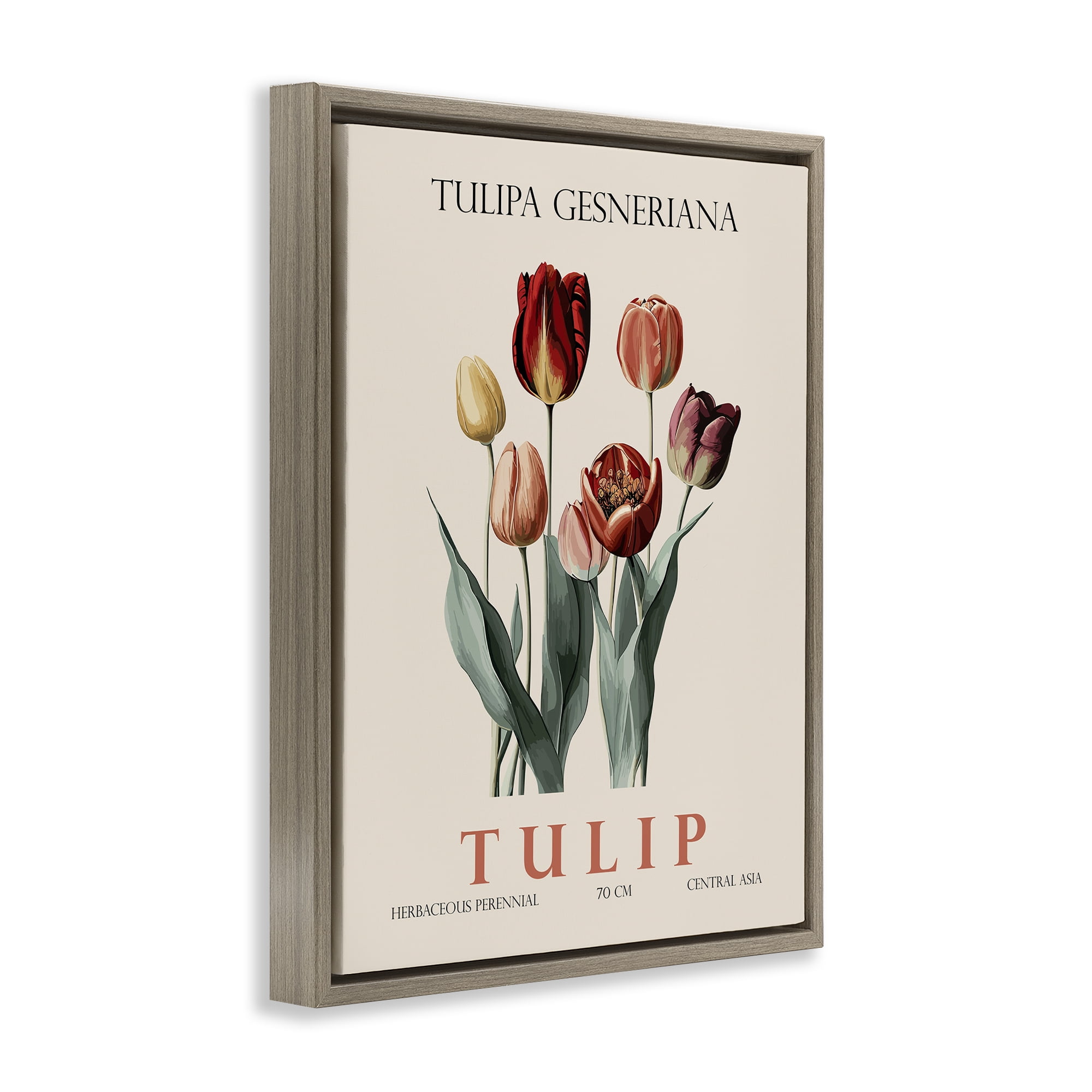 Stupell Industries Natural Tulip Bundle Brown Framed Floater Canvas Wall Art, design by Christopher Giampietro