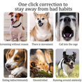 thumbnail image 5 of Dog Training Collar with Remote, Smart Dog Training Collar with 4 Training Modes and Training Icons, Waterproof Electric Dog Training for Large and Me, 5 of 5