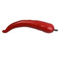 thumbnail image 3 of Artificial Pepper Simulation Foam Vegetable foam pepper Decoration Home Kitchen Photography Fake Pepper Prop, Red, 3 of 8