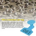 thumbnail image 3 of Animal Tag  Ear Tag For Pig  Number Ear Tag 1-100 Number Plastic Livestock Ear Tag Animal Tag For Goat Sheep Pig, 3 of 8