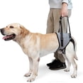 thumbnail image 1 of Dog Lift Harness, Dog Sling for Small Medium Large Dogs, Dog Support Harness for Back Legs, Adjustable Soft Padded Pet Harness, 1 of 5