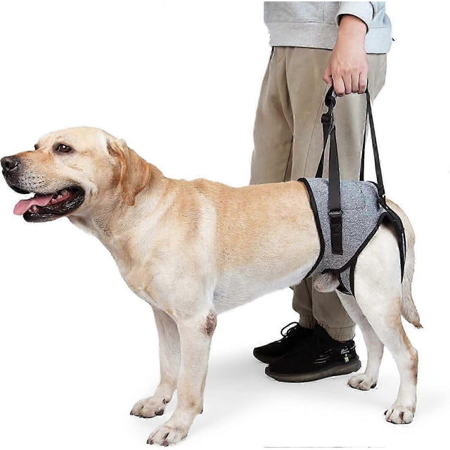 Dog Lift Harness, Dog Sling for Small Medium Large Dogs, Dog Support Harness for Back Legs, Adjustable Soft Padded Pet Harness