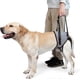 thumbnail image 1 of Dog Lift Harness, Dog Sling for Small Medium Large Dogs, Dog Support Harness for Back Legs, Adjustable Soft Padded Pet Harness, 1 of 5
