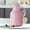 Pink, variant on pvdgvd Home Large Capacity Glass Insulated Kettle, 1L for Hot Cold Drinks, Double-Layer Vacuum & Sealing Lid, Office Use