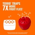 thumbnail image 2 of Terro Fruit Fly Trap, 6 Pack, 2 of 9