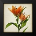thumbnail image 2 of Stalus, Judy 20x20 Black Modern Framed Museum Art Print Titled - Parchment Flowers X, 2 of 5