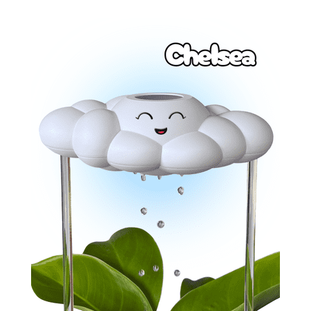 Chelsea the Cloud
