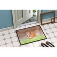 thumbnail image 2 of Carolines Treasures BB7439JMAT Squirrel Watercolor Doormat 24x36 36"L x 24"W multicolor, 2 of 4