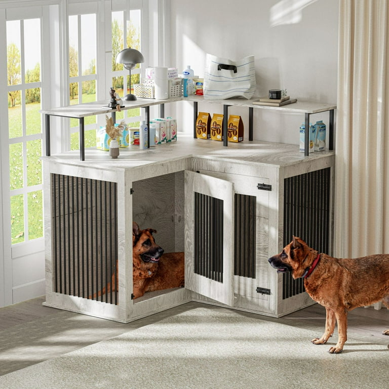 Big crate for small dog hotsell