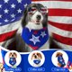 thumbnail image 4 of Bandanas para Perro Sanwuta 72 piezas de Poliéster Patriótico 58x41 cm, 4 of 7