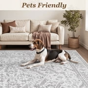 SIXHOME 5x7 Area Rugs for Living Room Washable Rugs Carpet Vintage Traditional Rugs for Bedroom Dinning Room Office Soft Non Slip Large Area Rug Retro Home Decor Light Gray