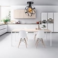 thumbnail image 4 of GROWTH TANK Rustic Metal Cage Pendant Light Lamp for Farmhouse Entryway Foyer Restaurant E, 4 of 9