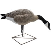 Final Approach Live Full Body Feeder Honkers, Decoy 4 Pack