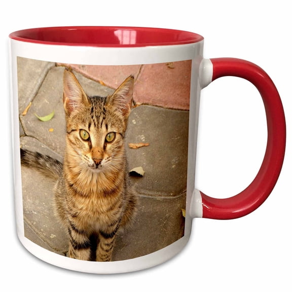 3drose, Cute Orange Brown Tabby Cat, 11oz Two-tone Red Mug