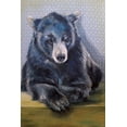 thumbnail image 2 of Kamdon Kreations 11x14 White Modern Wood Framed Museum Art Print Titled - Black Bear, 2 of 4