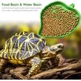 thumbnail image 4 of Bebedero y cuenco de agua de 2 piezas Sailing Bandeja para reptiles Mascotas pequeñas Verde, 4 of 5