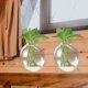 thumbnail image 3 of Plantador de vidrio de vidrio colgante de pared Vase de flores Hydroponics Plantas Jarrón de vidrio de pared, 3 of 8