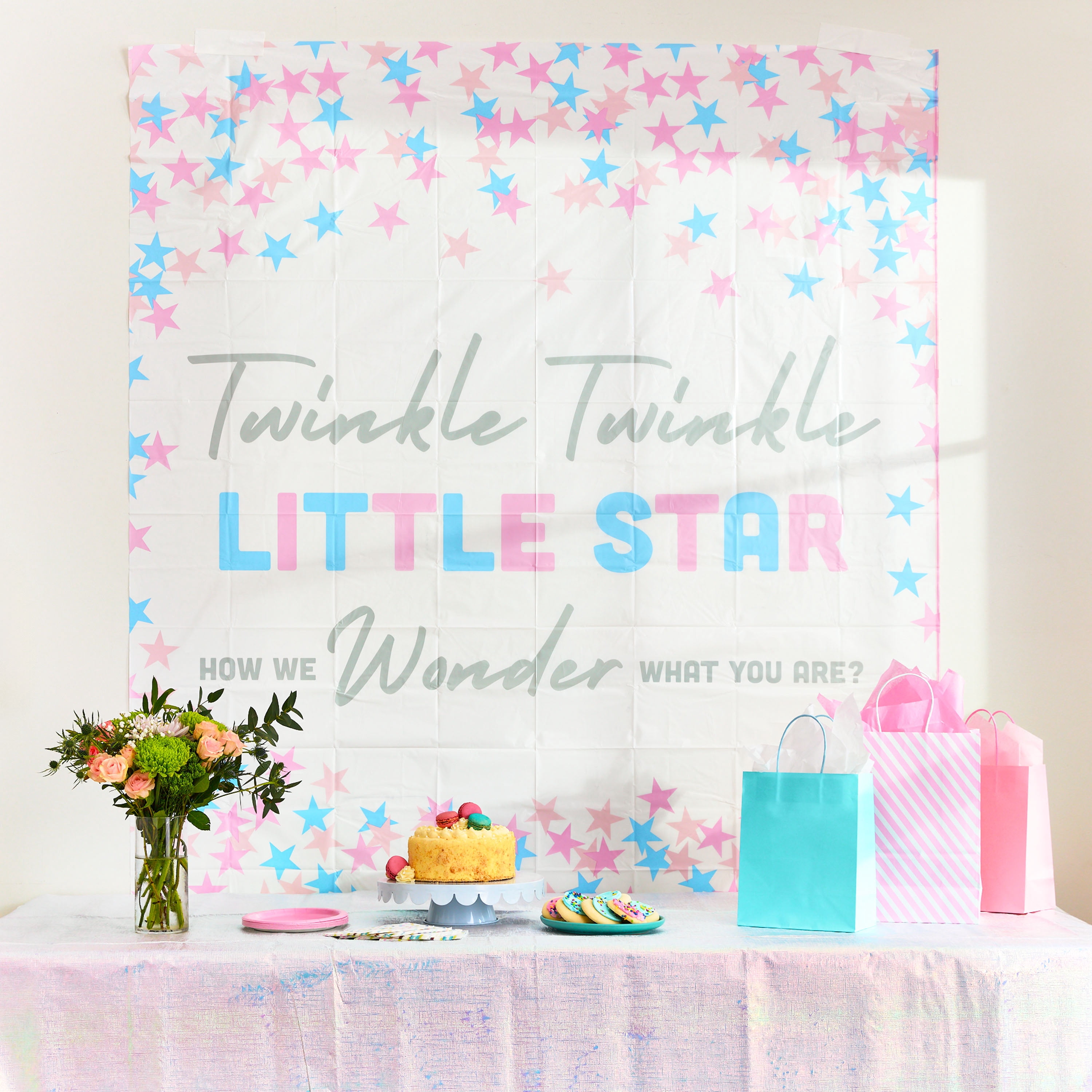 Pink/Blue Twinkle Twinkle Gender Reveal Plastic Scene Setter, 5' x 6', by Way To Celebrate