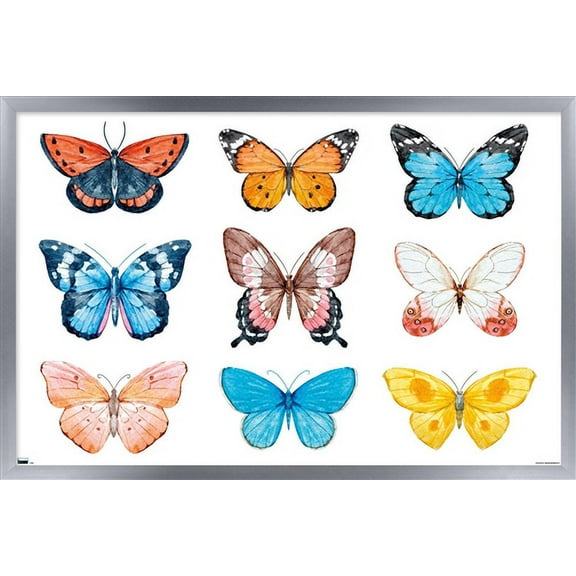 Watercolor Butterflies Wall Poster, 22.375" x 34", Framed