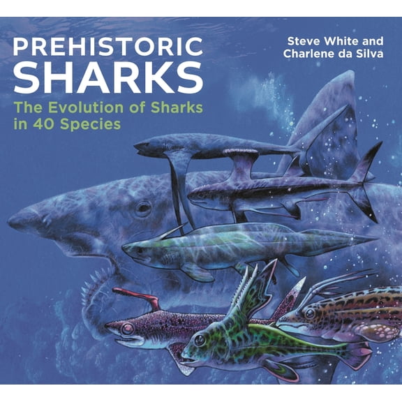 Prehistoric Sharks: The Evolution of Sharks in 40 Species, (Hardcover)