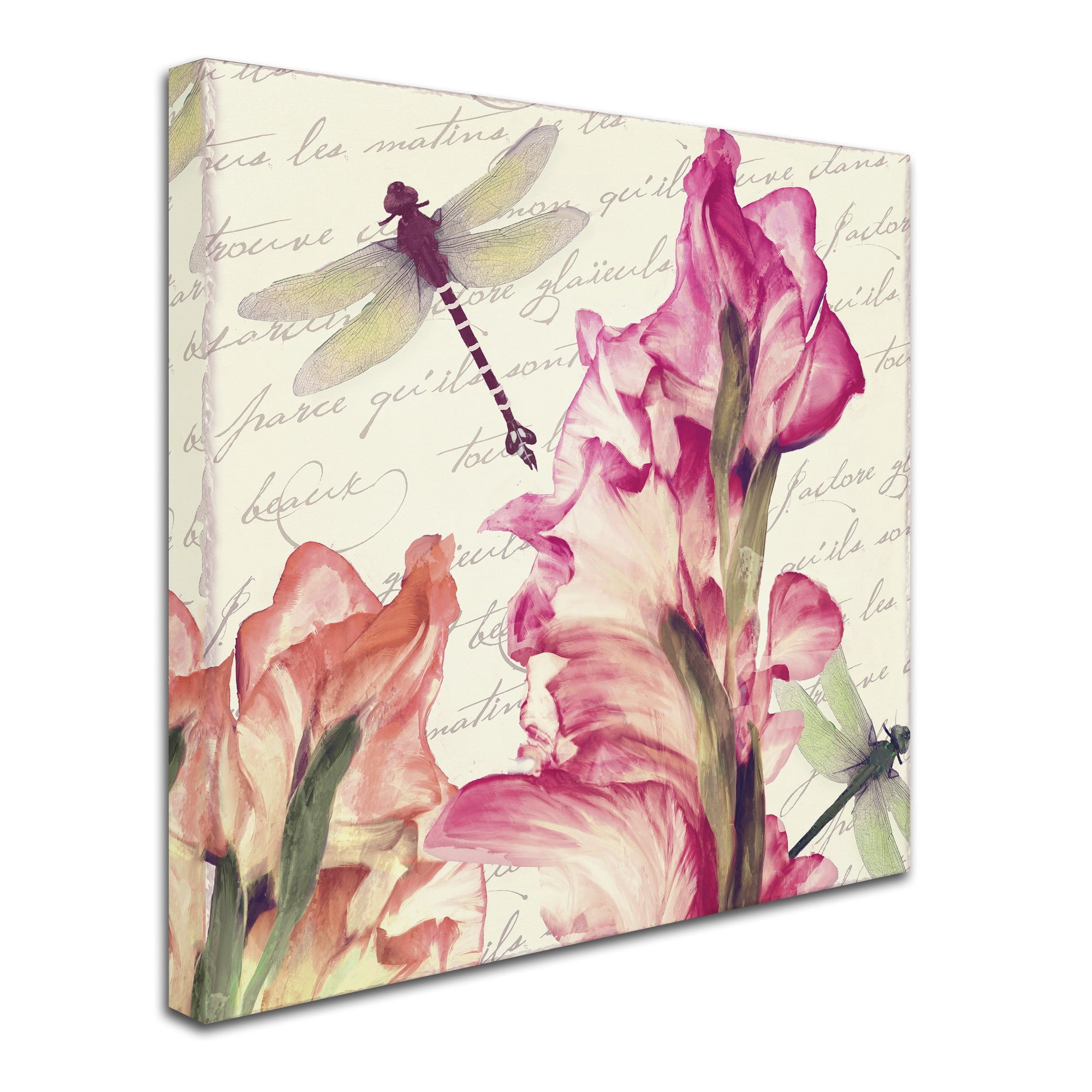 Trademark Fine Art "Dragonfly Morning I" Canvas Art by Color Bakery