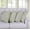 Tannin, variant on Home Soft Things Quilted Micromink 4 Piece Throw Pillow Cover Set - Orangeeade - 20" x 20"