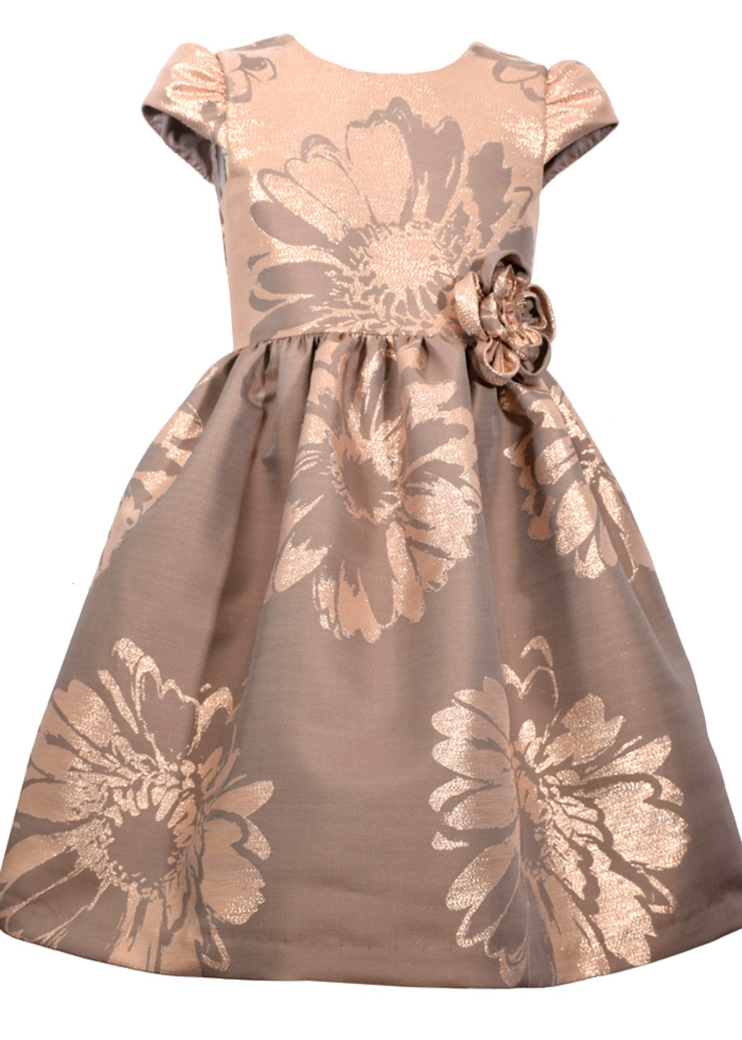 bonnie jean brocade dress