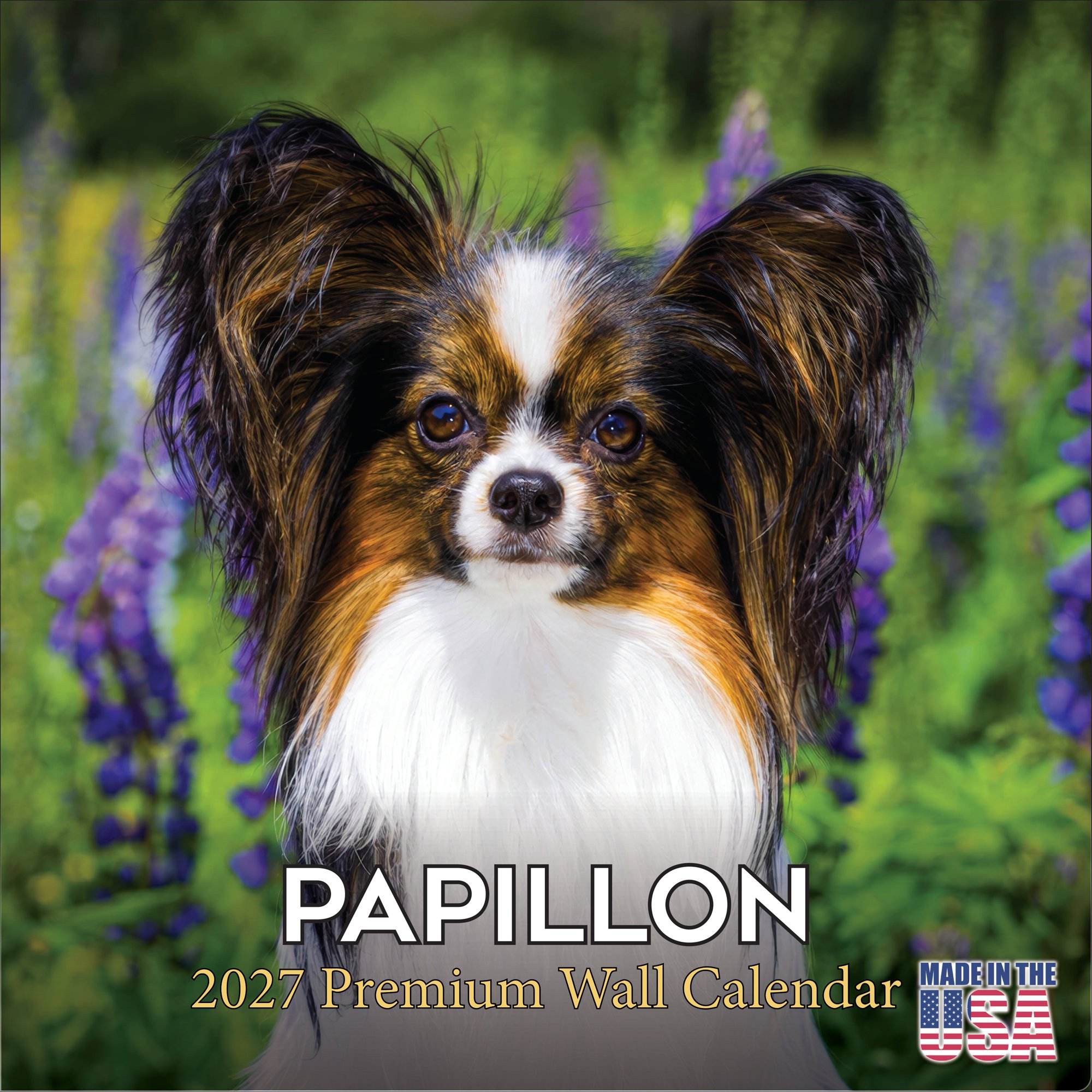 MegaCalendars 2026-2027 Papillon Wall Calendar, 12x12 Bonus Month Monthly Planner, Made in USA