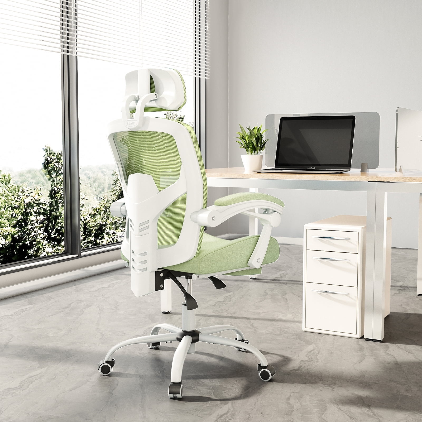 EDX Ergonomic Office Chair - High Back Mesh, Reclining with Lumbar Support, Adjustable Headrest, Footrest & Padded Arms, Green