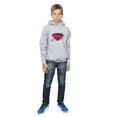 thumbnail image 4 of DC Comics Garçons La Ligue des Justiciers Film Superman Logo Chandail à Capuchon, 4 of 5