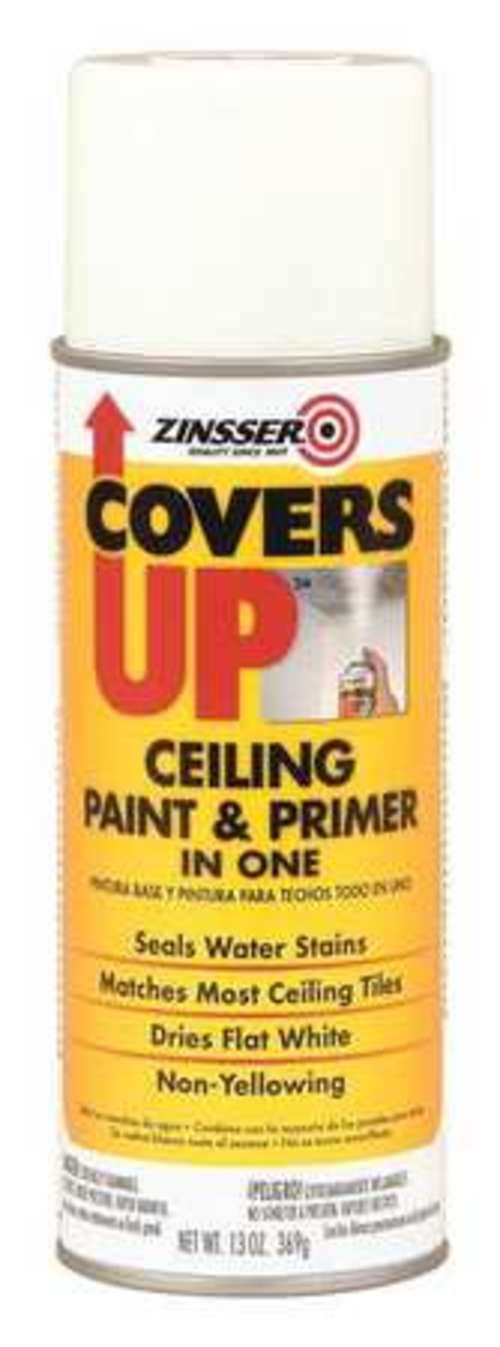 13 oz. White Acoustical Ceiling Tile Spray Paint