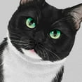 thumbnail image 3 of Wayfare Art Canvas Prints Poster, 8 x 10 inch Wall Decor Canvas Artwork, Tuxedo Cat White Chin, 3 of 7